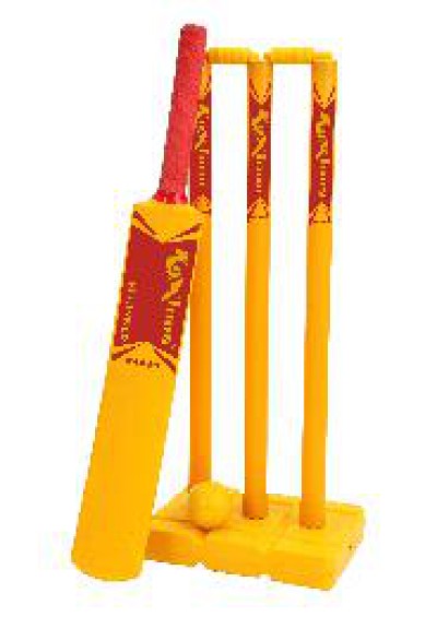 Cricket Training Set